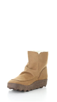 Cuff269ASP