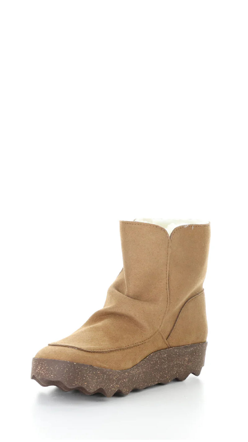 Cuff269ASP