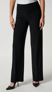 Joseph Ribkoff Ladies Pant (Empress on sale)