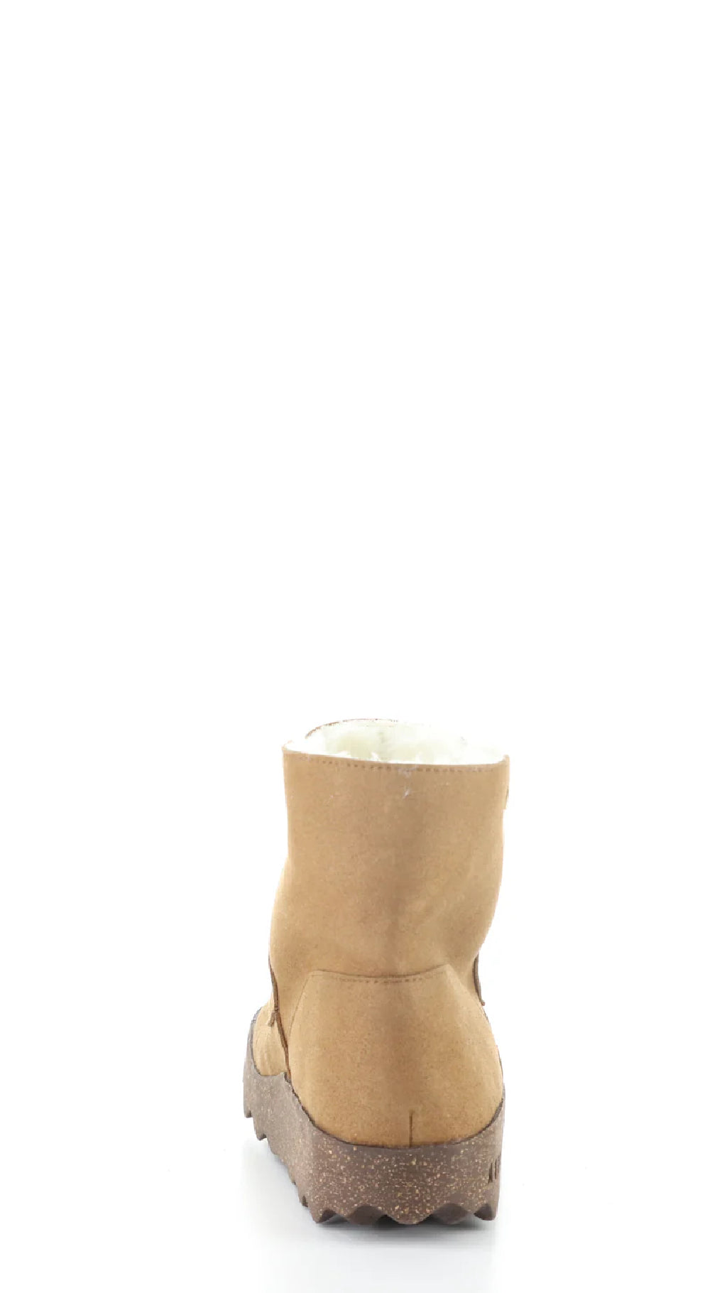 Cuff269ASP