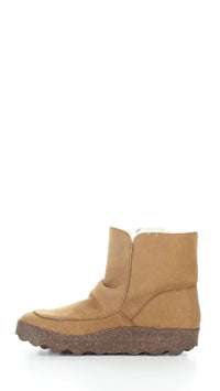 Cuff269ASP