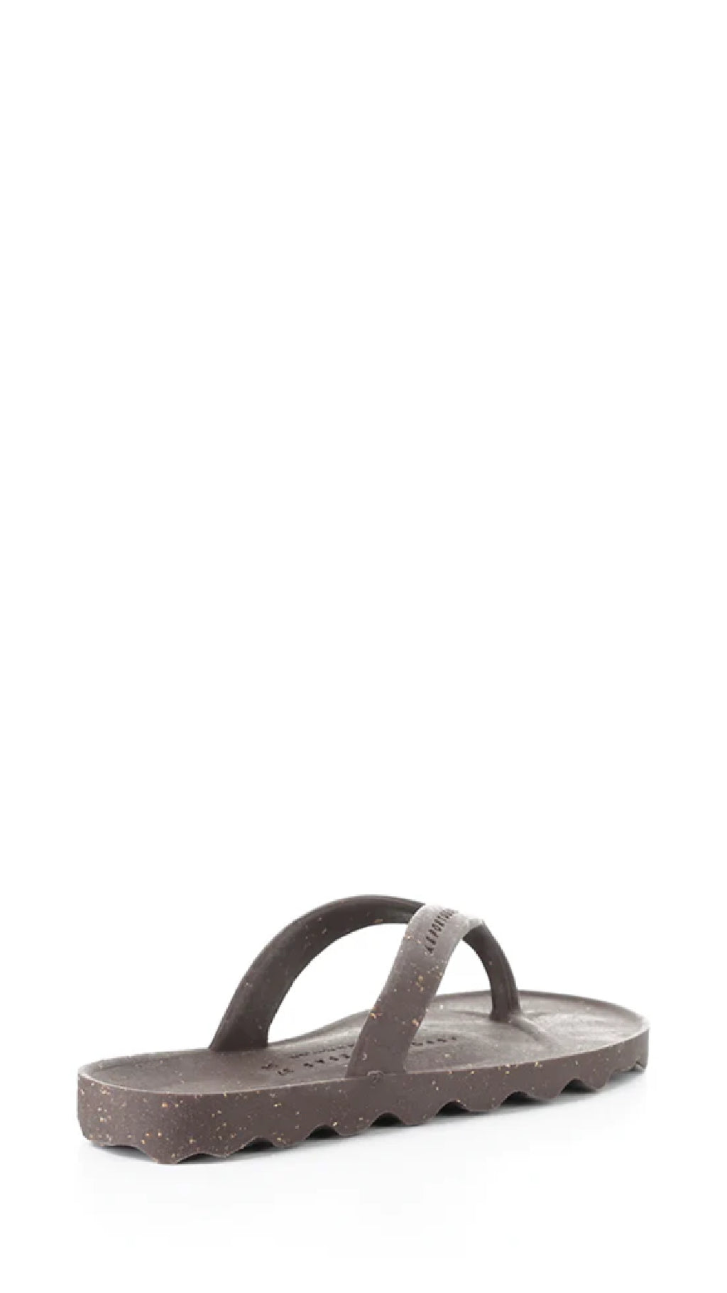 Earth Flip Flop