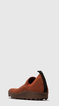 Clip-Woman’s Shoe