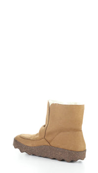 Cuff269ASP