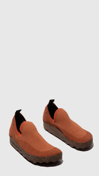 Clip-Woman’s Shoe