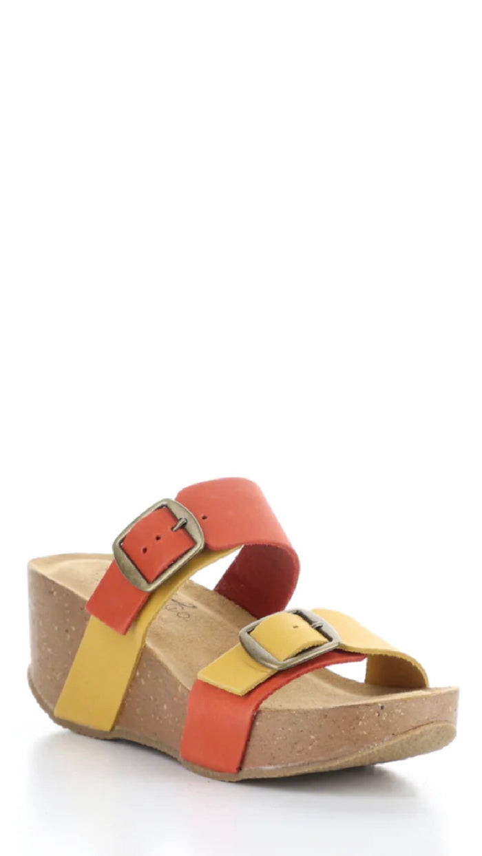 LAWT-Manderino/Yellow